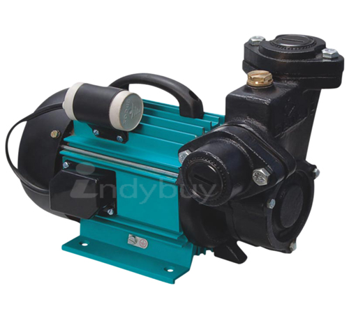 Bajaj Water Lifting Pump - Self Priming Pump